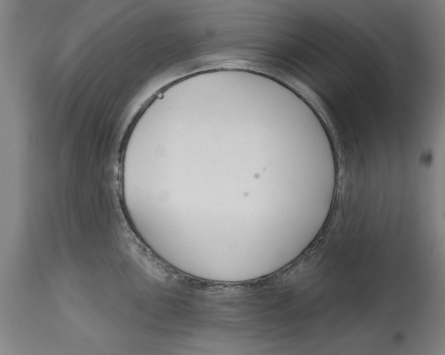 X0000114691051200911181249