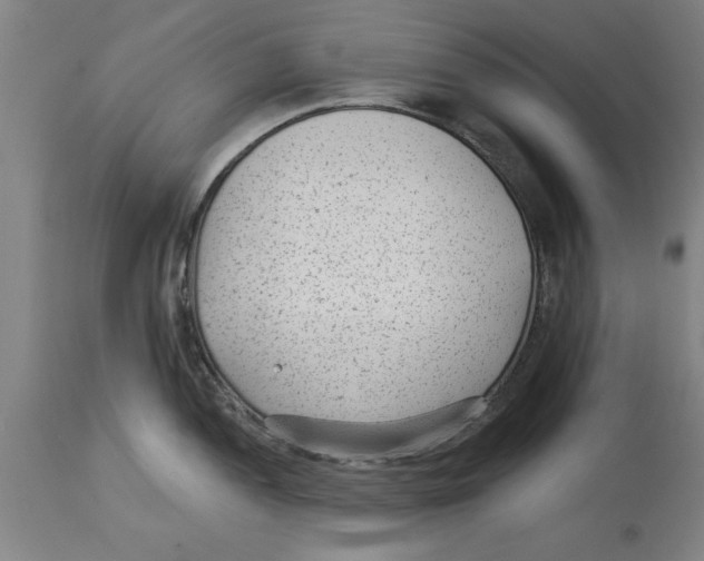 X0000114691052200911181249