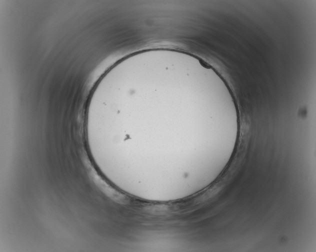 X0000114691054200911181249