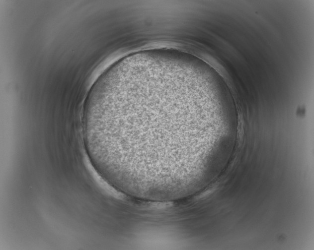 X0000114691055200911181249