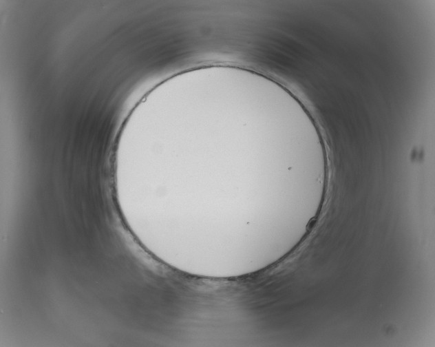 X0000114691056200911181249