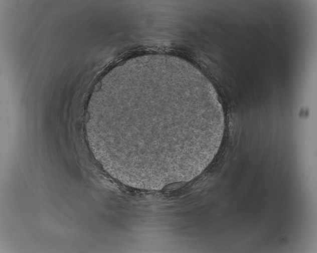 X0000114691057200911181248