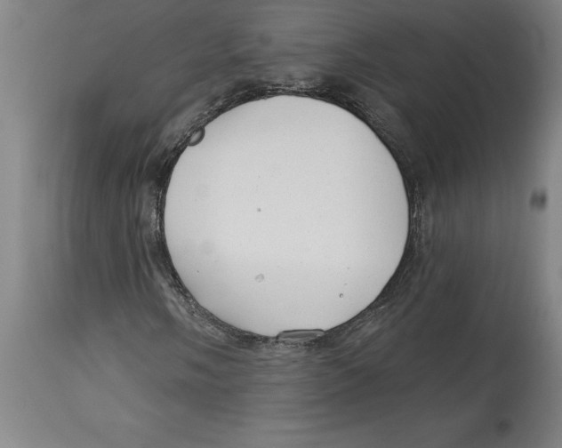 X0000114691058200911181248