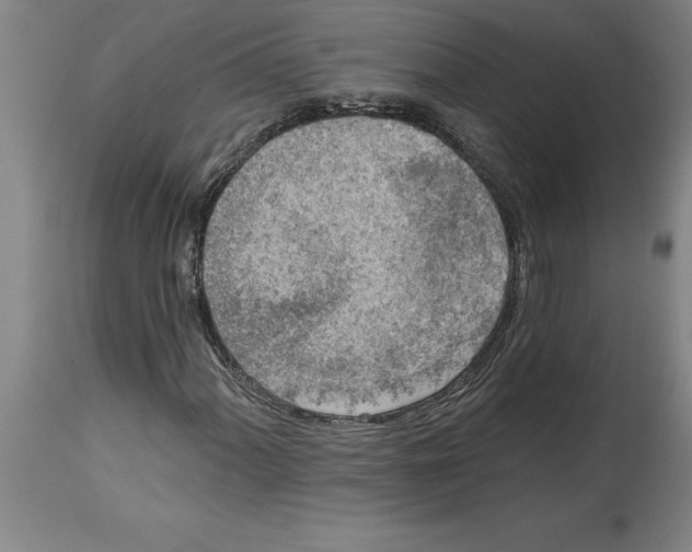 X0000114691060200911181248