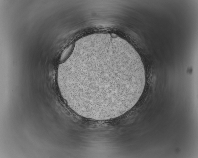 X0000114691061200911181248