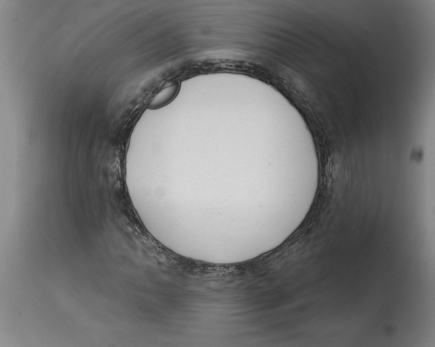 X0000114691062200911181248