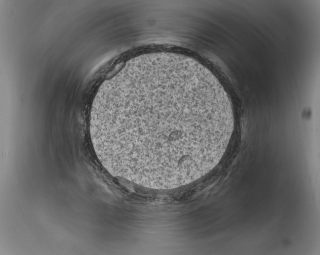 X0000114691064200911181248