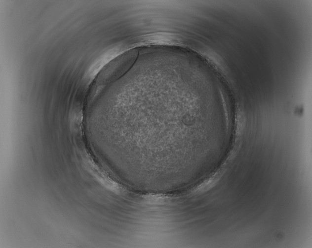 X0000114691065200911181248