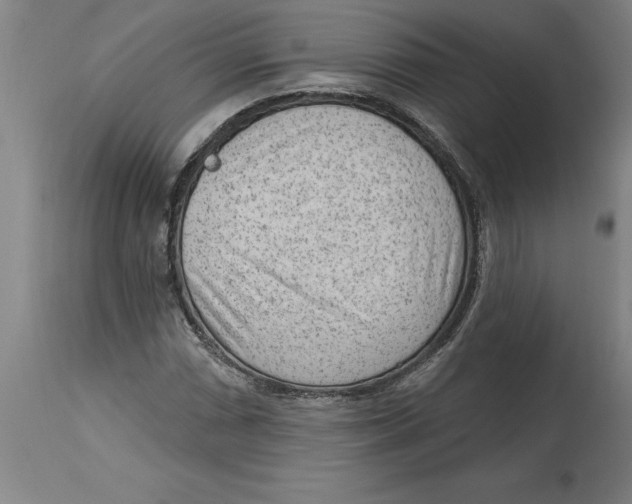 X0000114691066200911181248