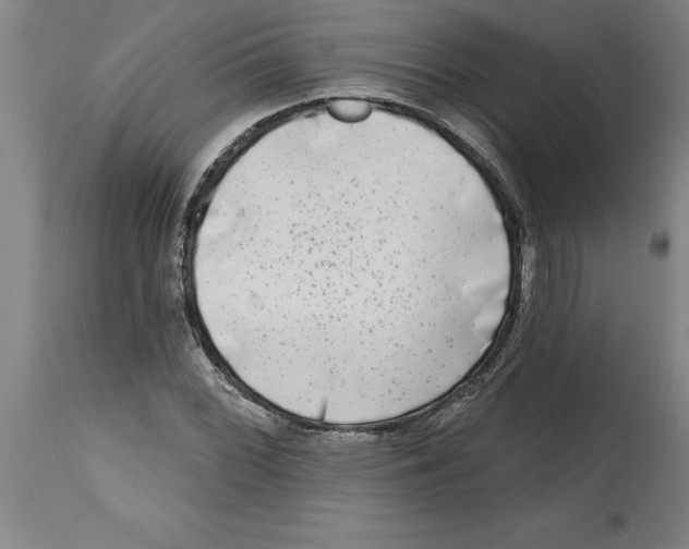 X0000114691068200911181248