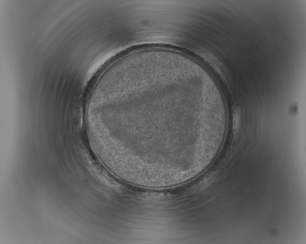 X0000114691069200911181248