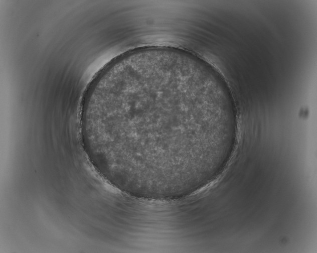 X0000114691071200911181248