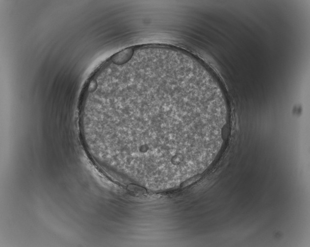 X0000114691072200911181248