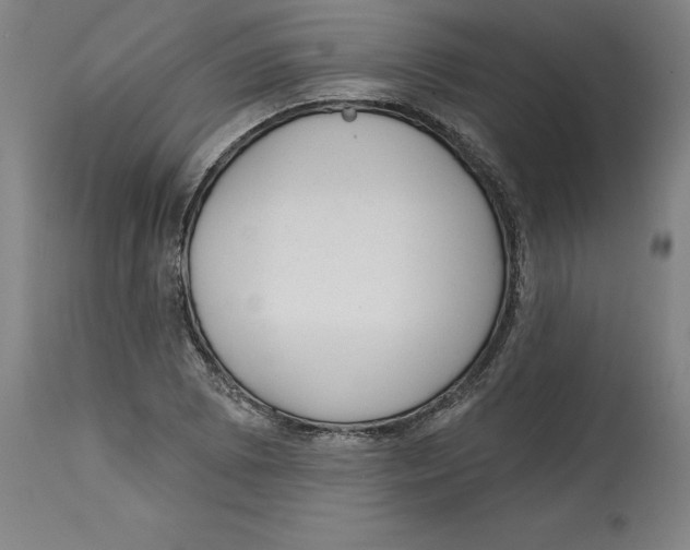 X0000114691073200911181248