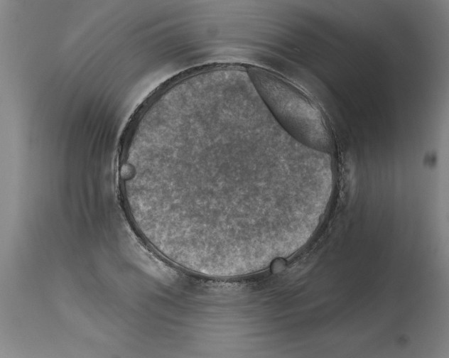 X0000114691076200911181248