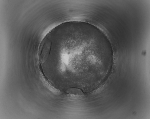 X0000114691077200911181248