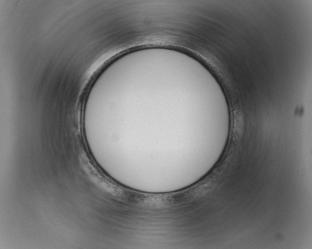 X0000114691078200911181248