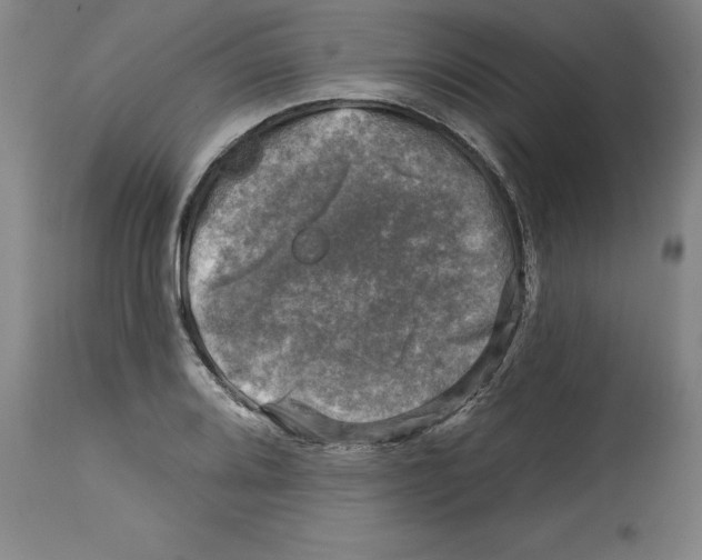 X0000114691080200911181248