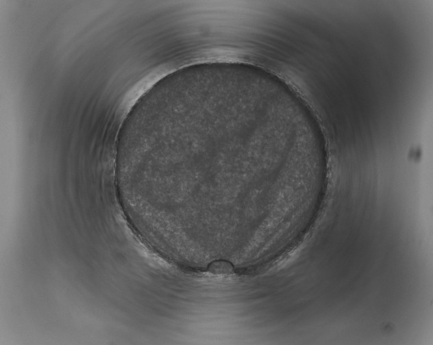 X0000114691081200911181248