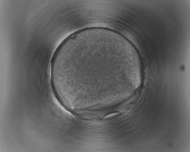 X0000114691084200911181248