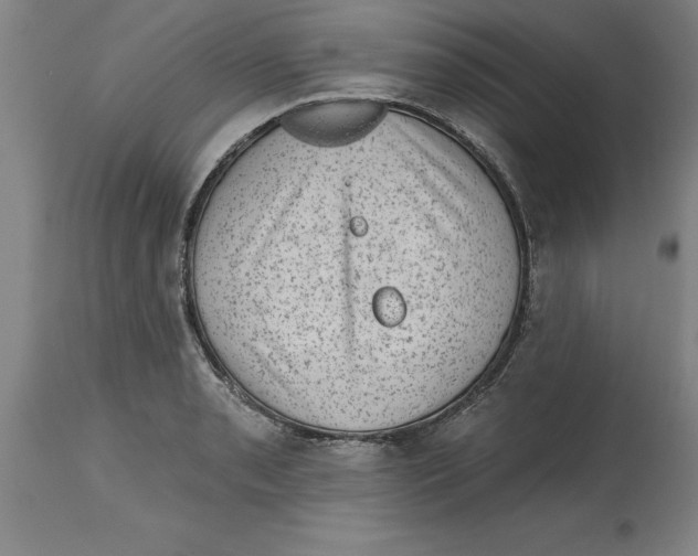 X0000114691085200911181248