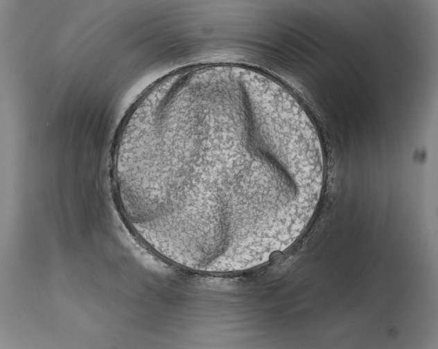 X0000114691086200911181248