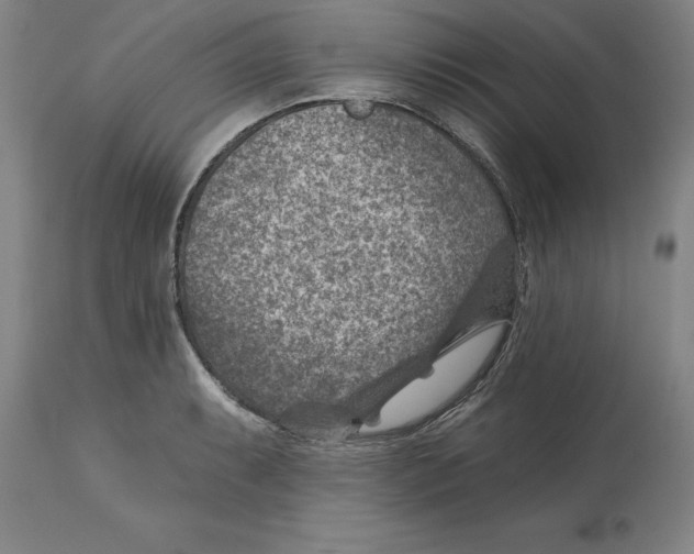 X0000114691087200911181248