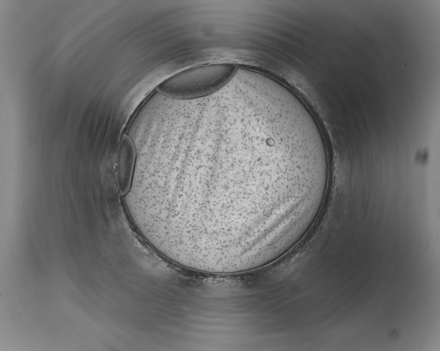 X0000114691089200911181248