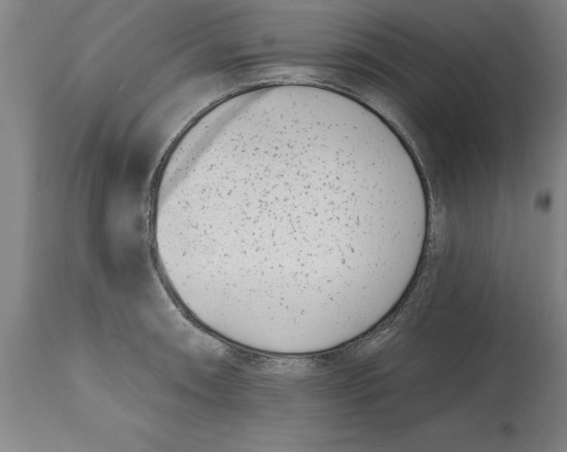 X0000114691090200911181248