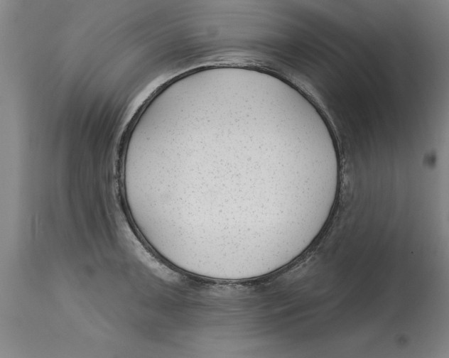 X0000114691091200911181248