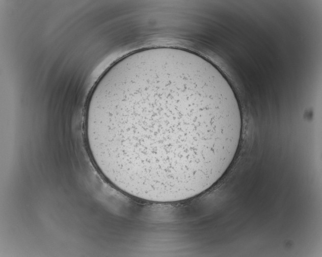 X0000114691094200911181248