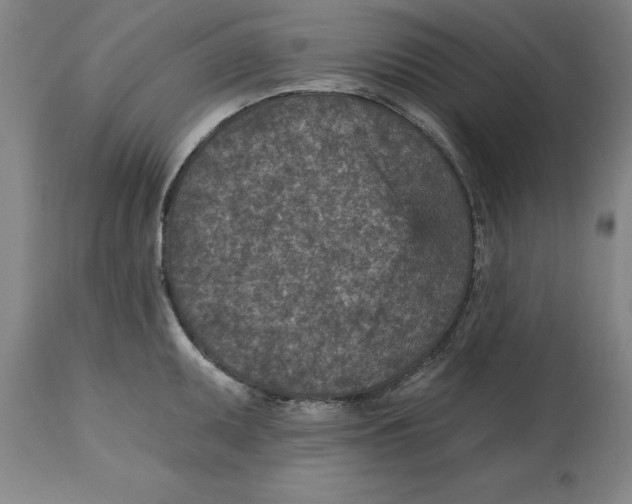 X0000114691095200911181248