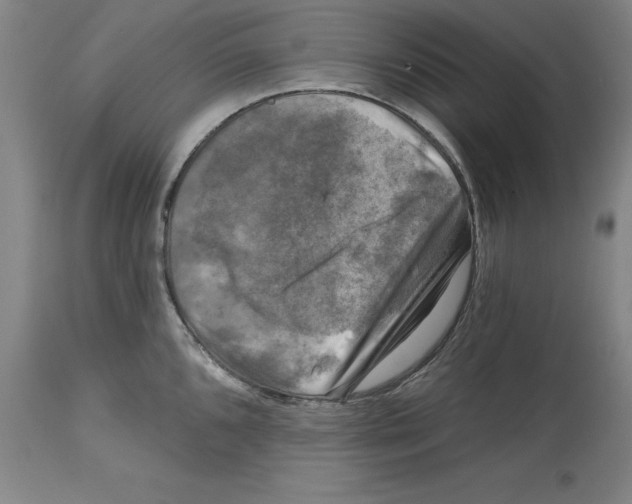 X0000114691096200911181248