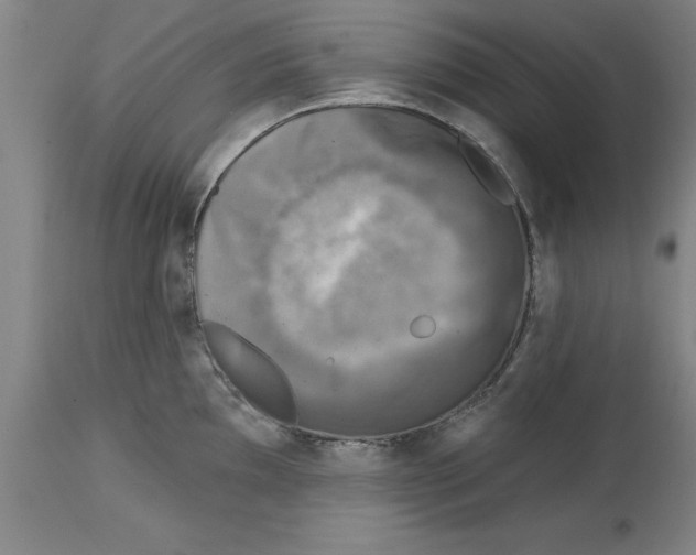 X0000114691097200911181248