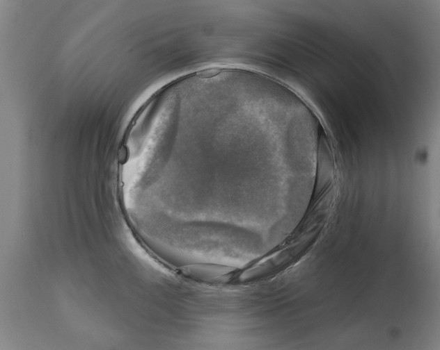 X0000114691100200911181248