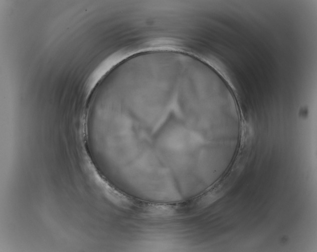 X0000114691101200911181248