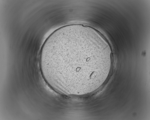 X0000114691102200911181248