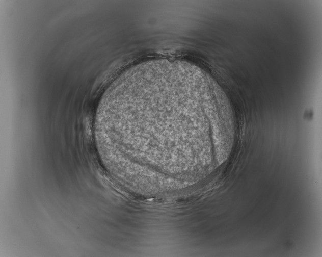 X0000114691106200911181247