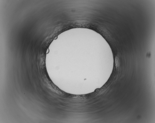 X0000114691107200911181247