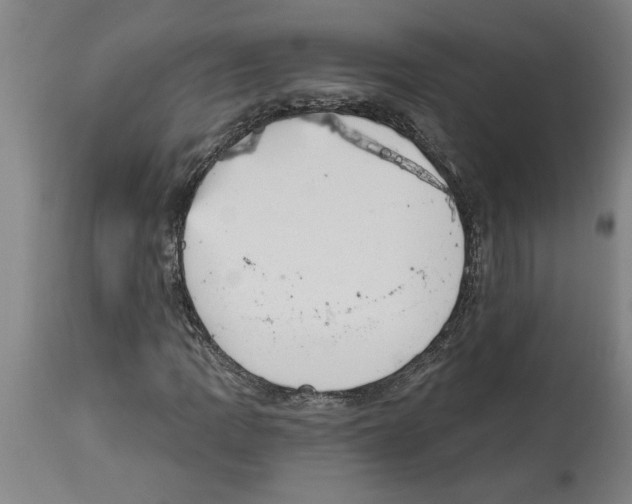 X0000114691109200911181247