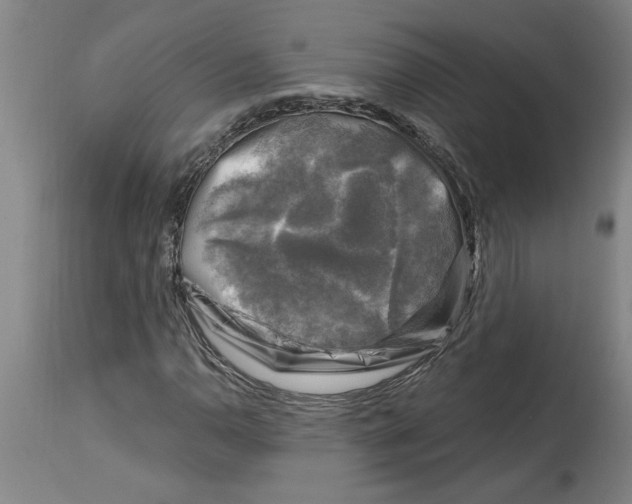 X0000114691110200911181247