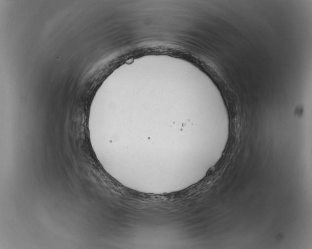 X0000114691111200911181247