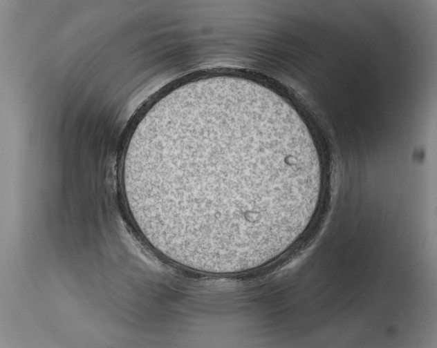 X0000114691113200911181247