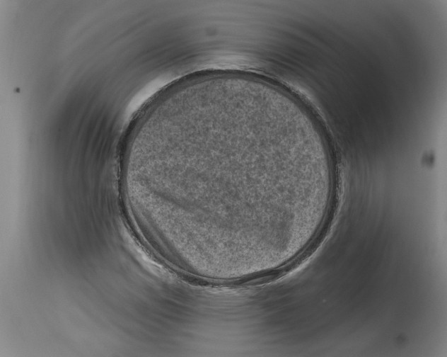 X0000114691114200911181247