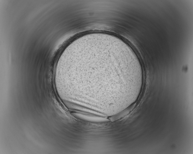 X0000114691115200911181247