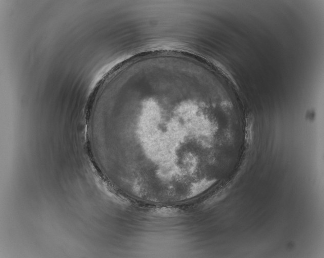 X0000114691117200911181247