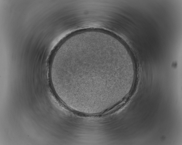 X0000114691118200911181247