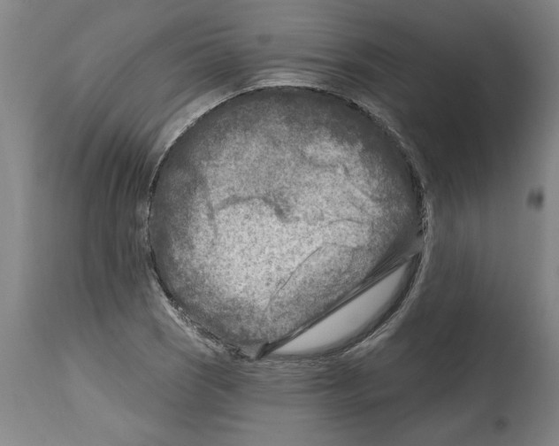 X0000114691121200911181247