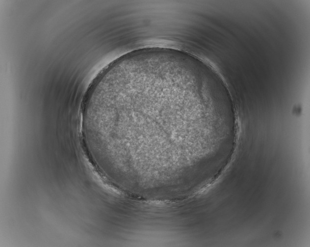 X0000114691125200911181247