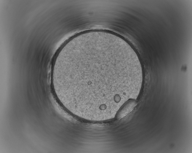 X0000114691126200911181247